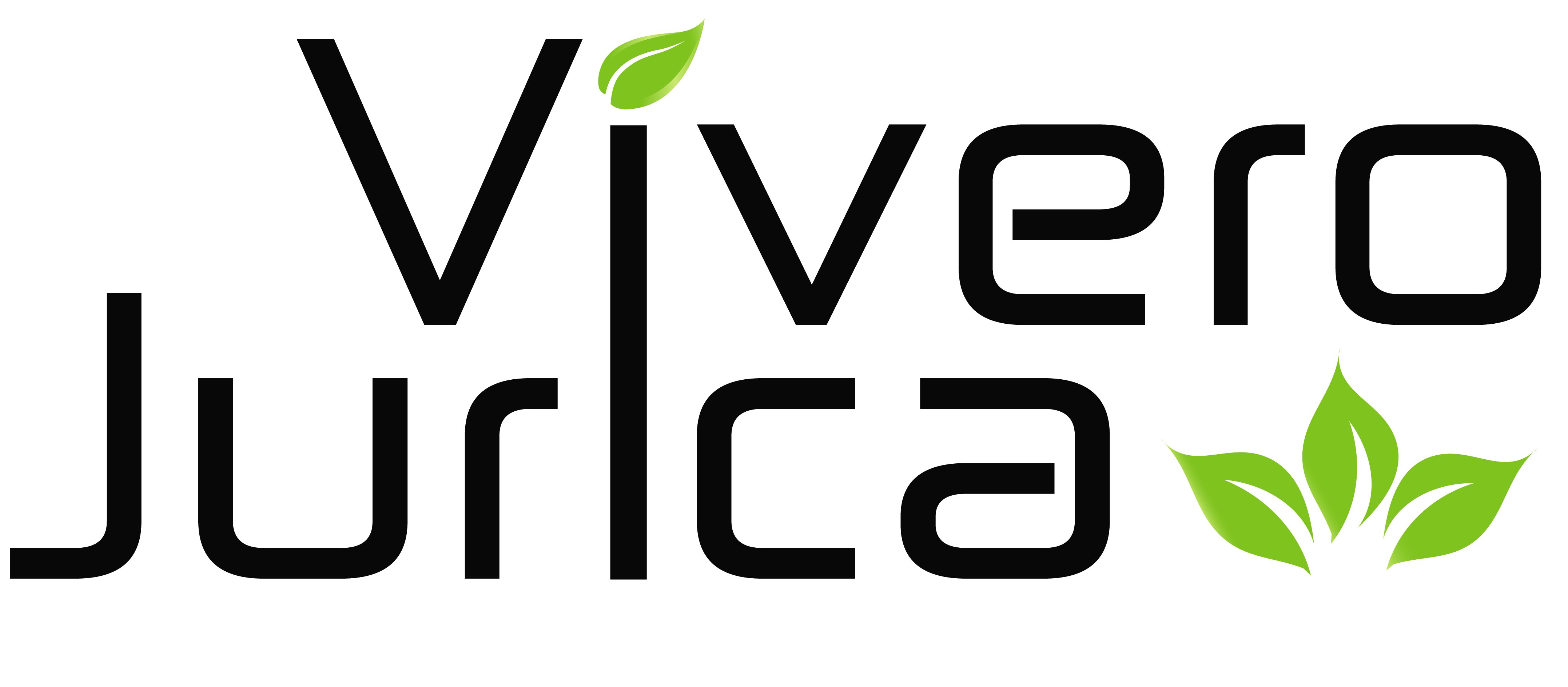 La máxima dimensión en plantas